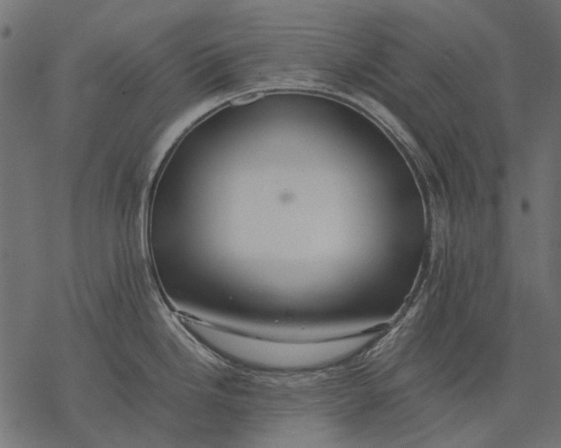 X0000077331246200611031722