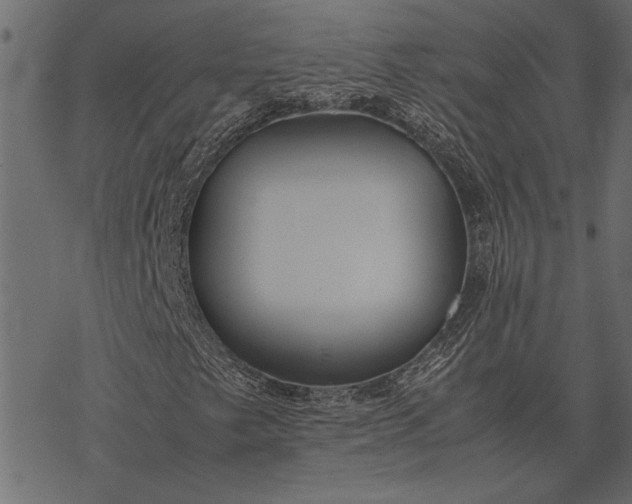 X0000077331249200611031722