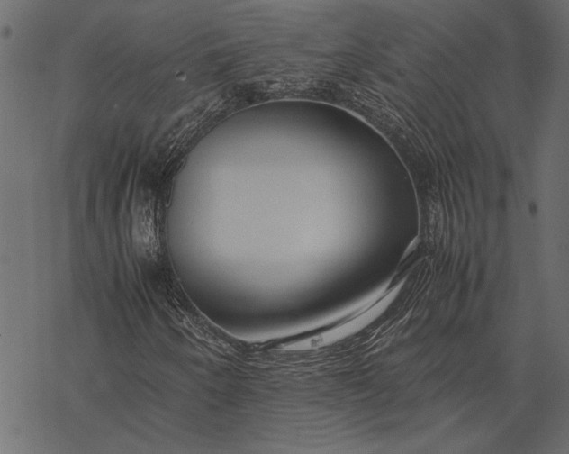 X0000077331250200611031722