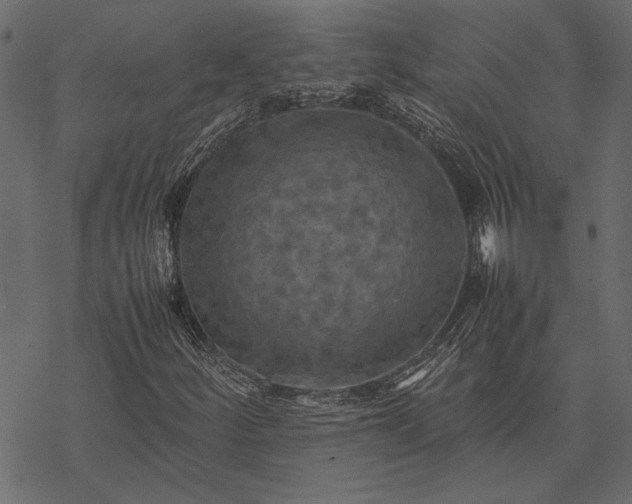 X0000077331252200611031722