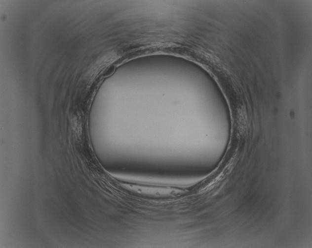 X0000077331257200611031722