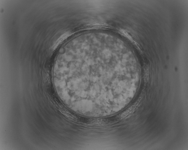 X0000077331259200611031722
