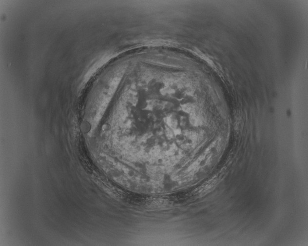 X0000077331263200611031722