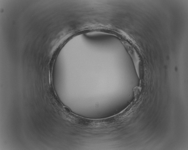 X0000077331269200611031721