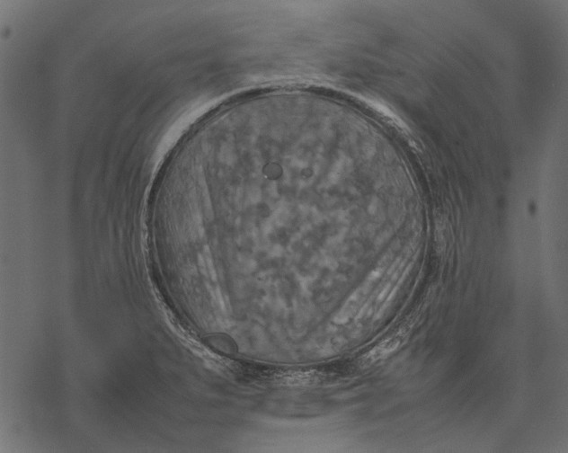 X0000077331279200611031721