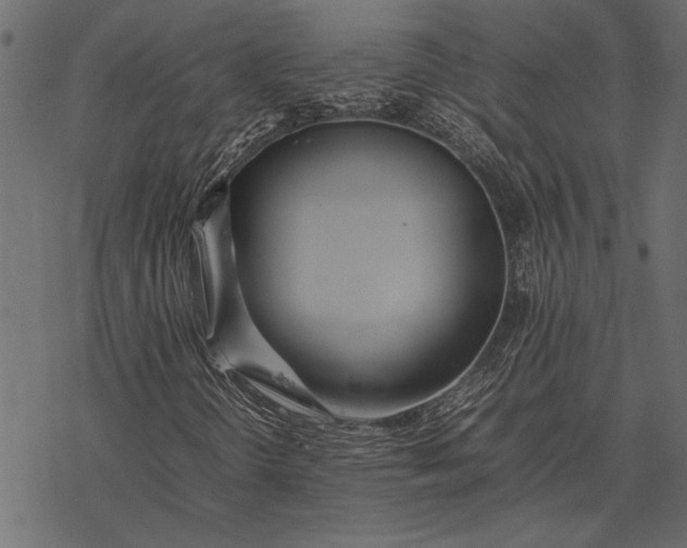 X0000077331298200611031720