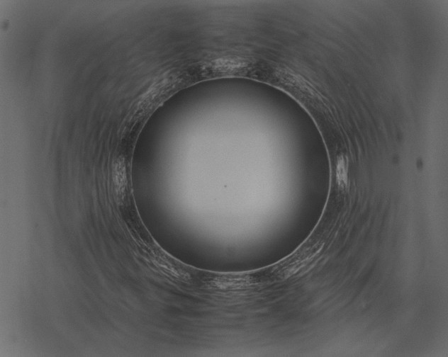 X0000077331299200611031720