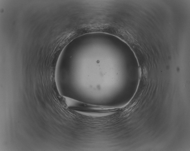 X0000077331300200611031720