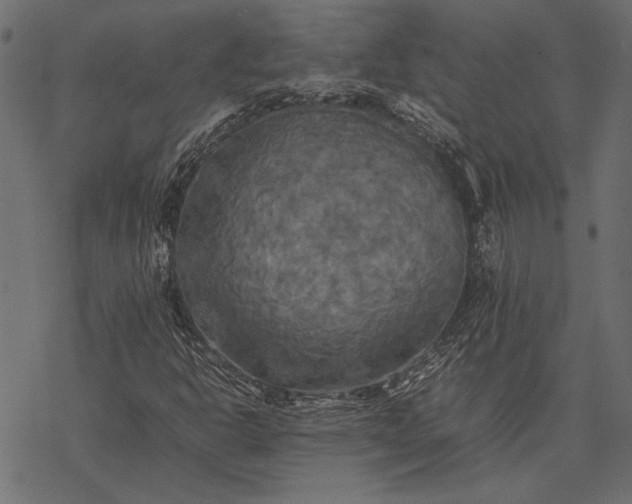 X0000077331302200611031720