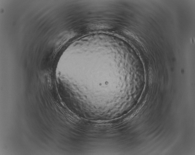 X0000077331305200611031720