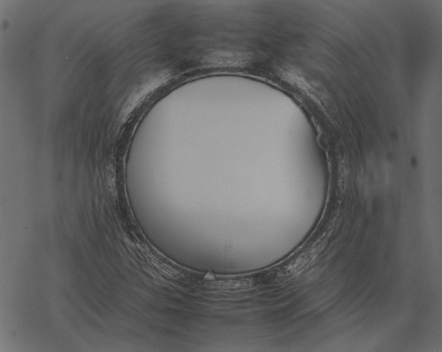 X0000077331307200611031720