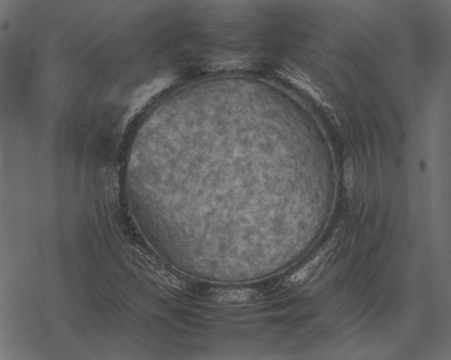 X0000077331309200611031720