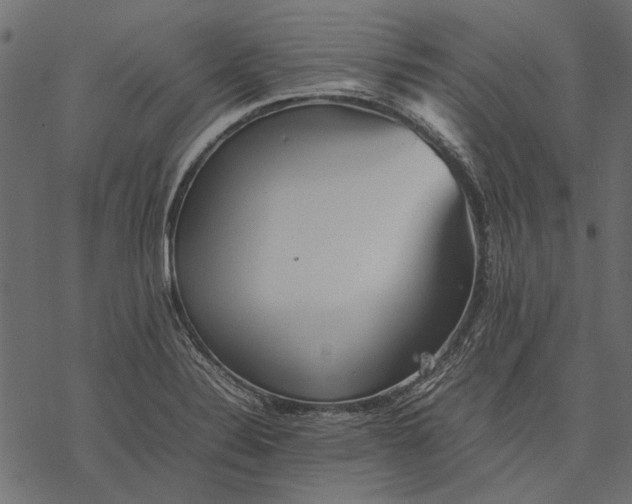X0000077331324200611031721