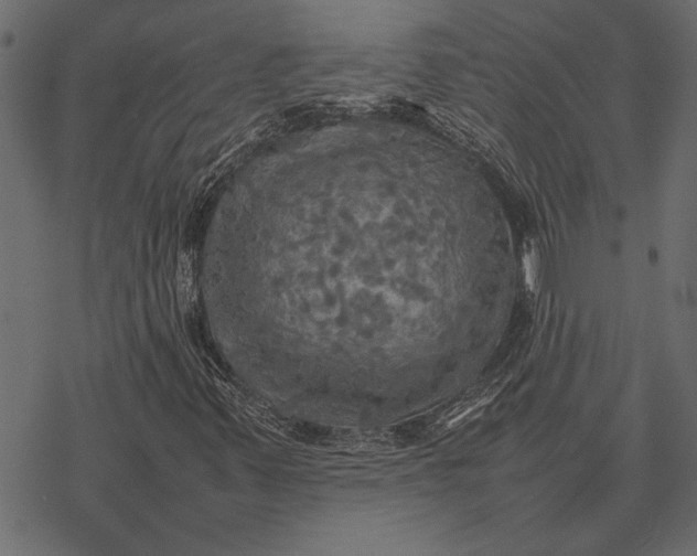 X0000077331347200611031720