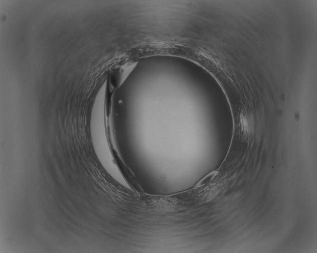 X0000077331348200611031720