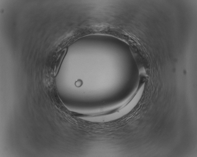 X0000077331349200611031720