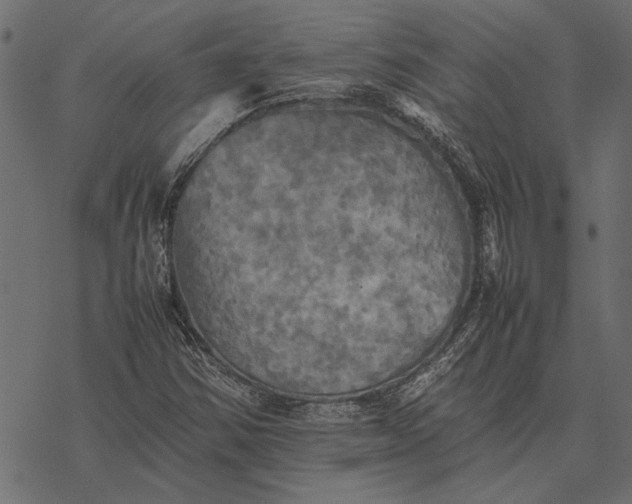X0000077331354200611031720