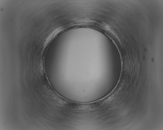 X0000077331362200611031720
