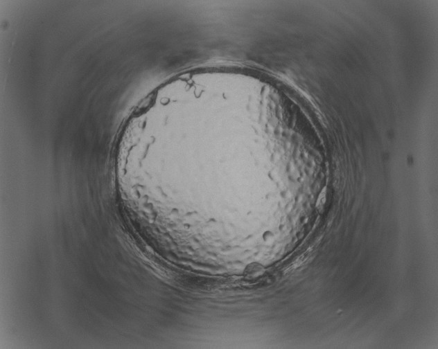 X0000077331367200611031720
