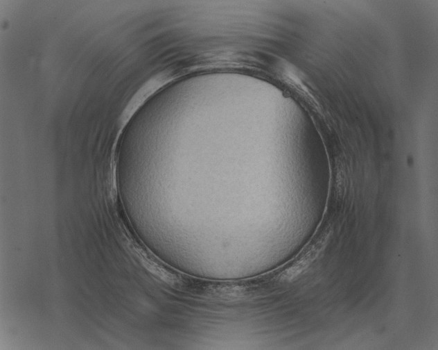 X0000077331370200611031720