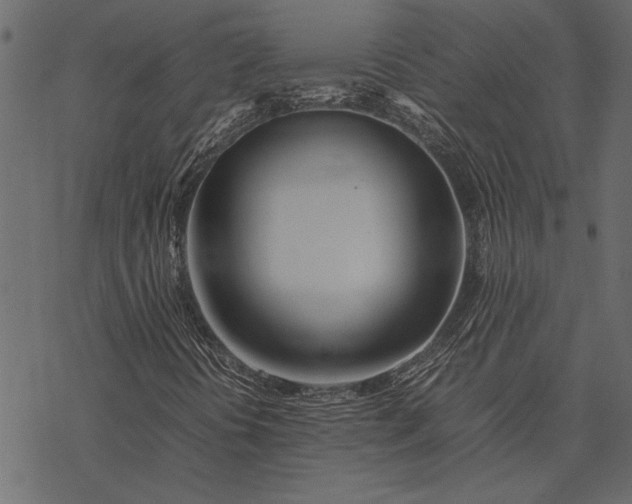X0000077331394200611031719