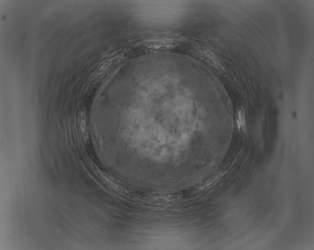 X0000077331396200611031719