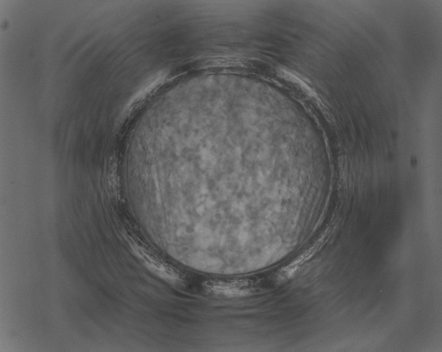 X0000077331403200611031719