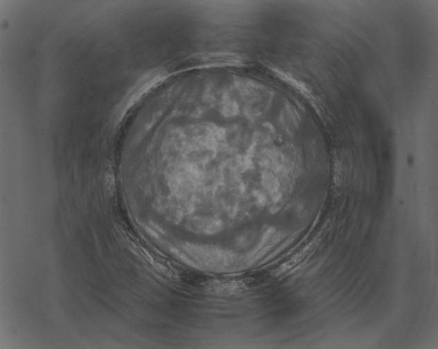 X0000077331407200611031719