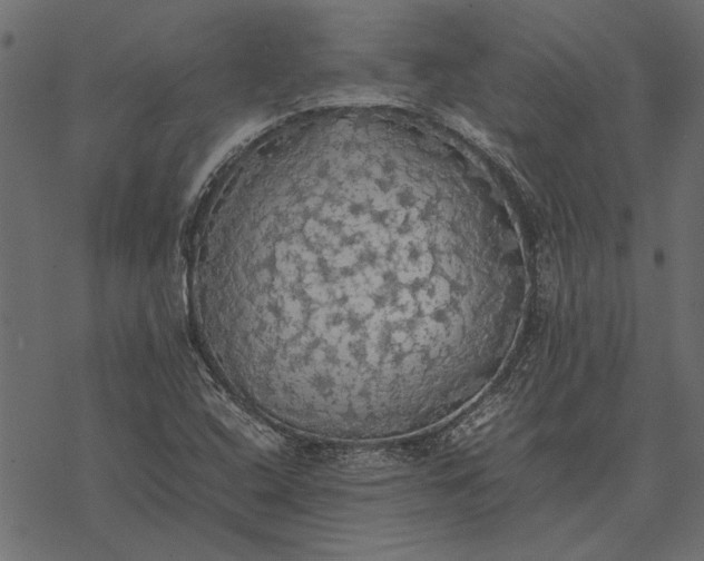 X0000077331408200611031719