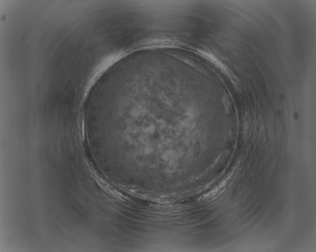 X0000077331413200611031719