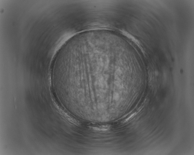 X0000077331415200611031719