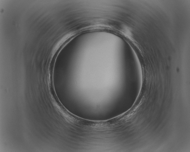 X0000077331418200611031719