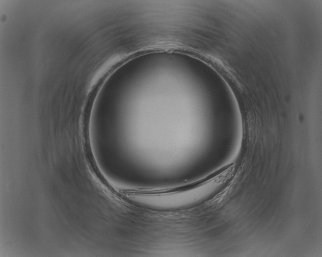 X0000077331422200611031719