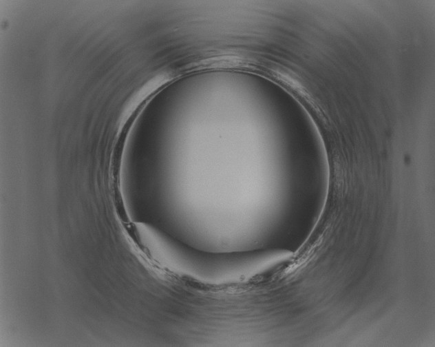 X0000077331426200611031719