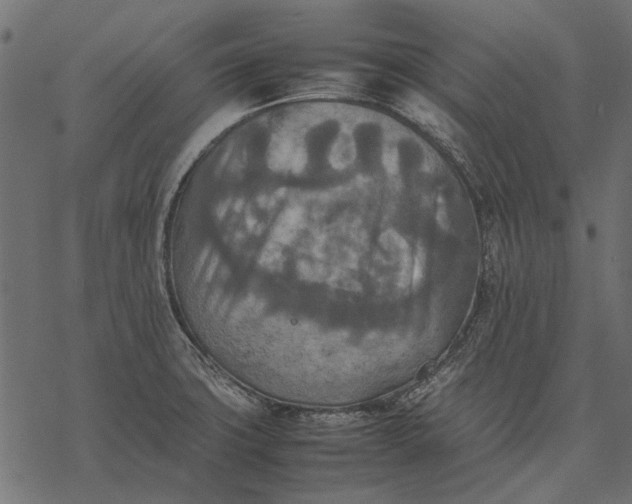X0000077331427200611031719