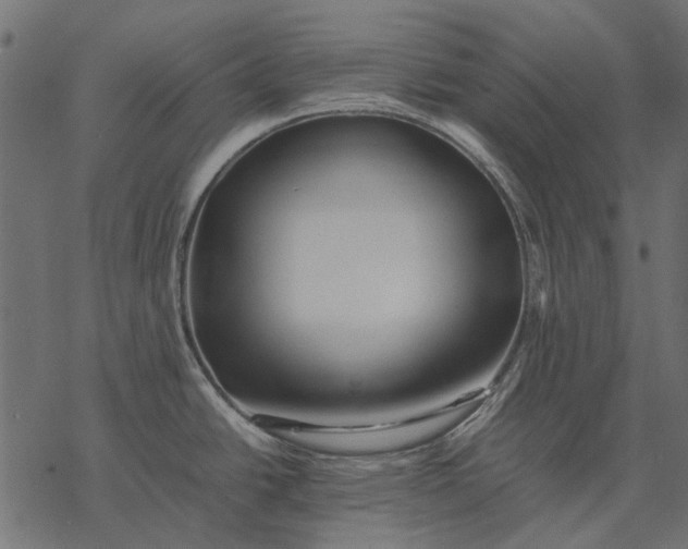 X0000077331438200611031719