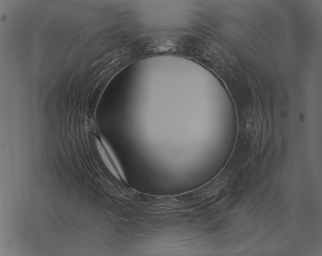 X0000077331442200611031719