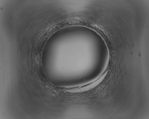 X0000077331445200611031719