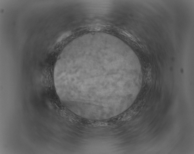 X0000077331446200611031719