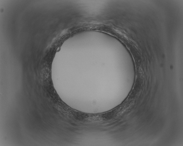 X0000077331447200611031718