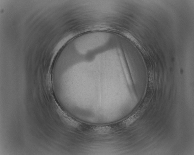 X0000077331466200611031718