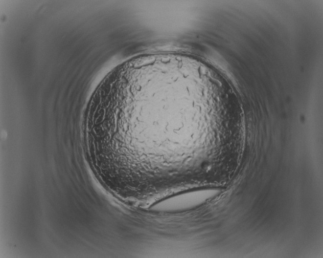 X0000077331483200611031718