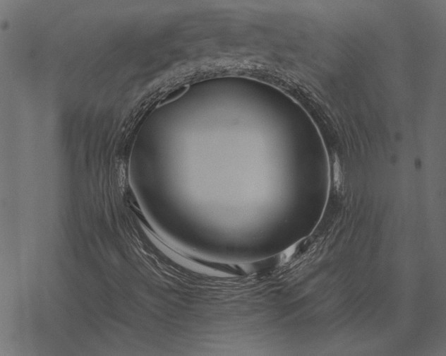 X0000077331492200611031717