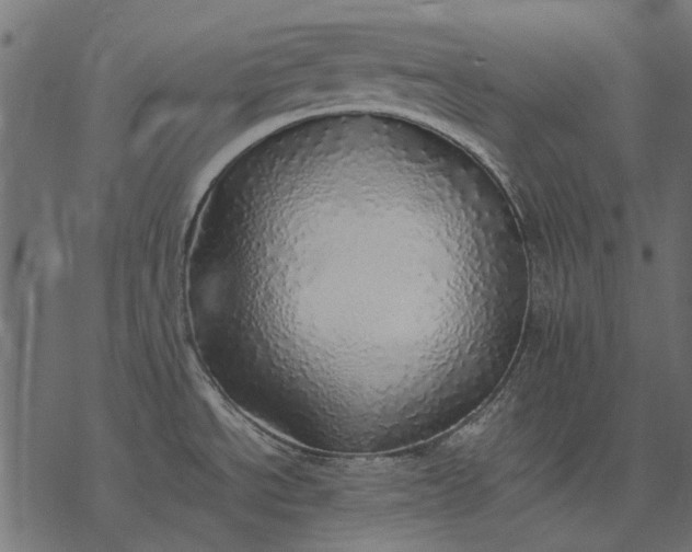 X0000077331534200611031718