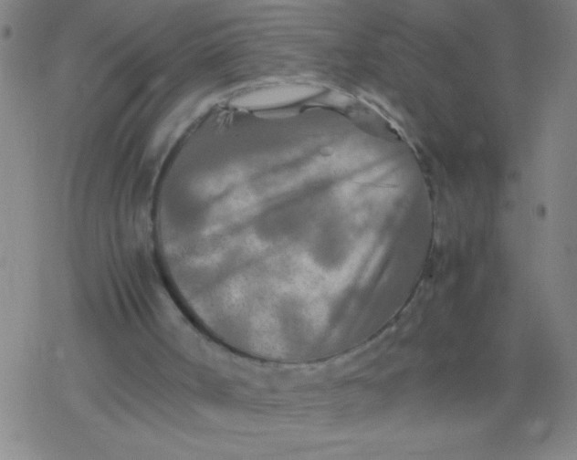 X0000077330002200611101535