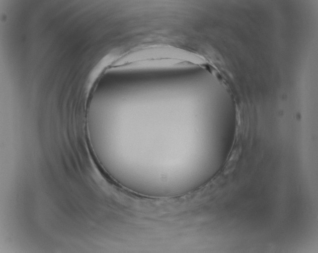 X0000077330003200611101535