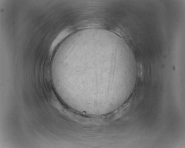 X0000077330004200611101535