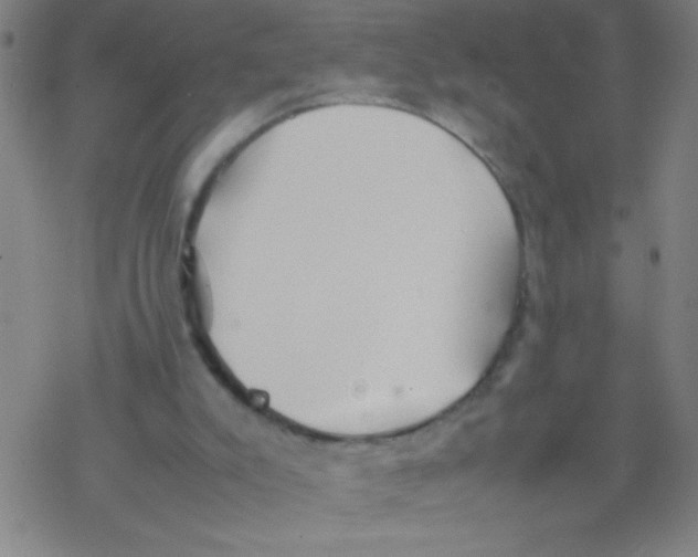 X0000077330007200611101535