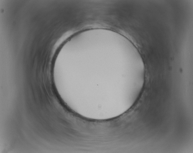 X0000077330008200611101535