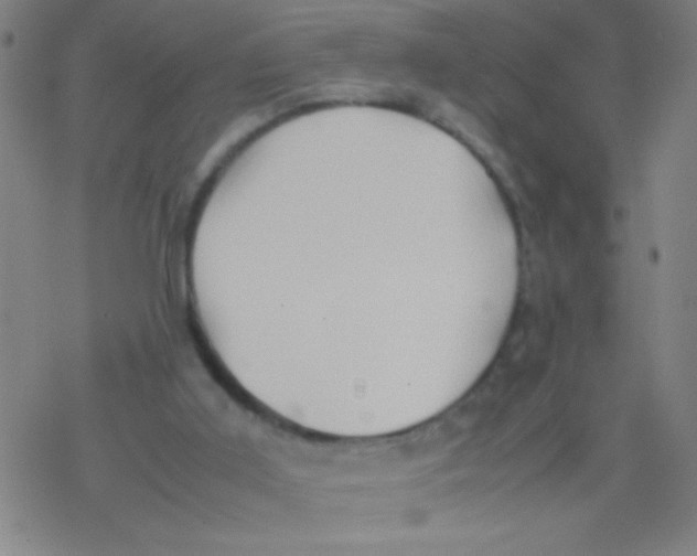 X0000077330011200611101535